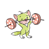 cool funny gym muscle cat