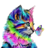 Cat baby