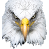 Eagle's Head