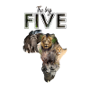 Big Five