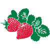 Fraises