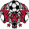 fotball sports tiger tiger logo fotball ballo