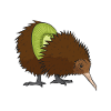 Kiwi - fruit and bird