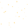 flower chamomile nice gift