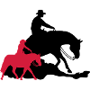 Reining vs Ranch Riding
