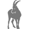 Ziegenbock Steinbock Bock Widder