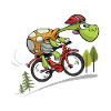 cool turtle on the bike