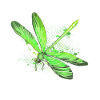 dragon-fly