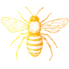 abeille