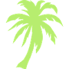 Palme 3062