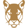 panthere wild animal 306