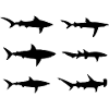 Haiarten