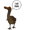 Dronte Dodo Doudo Dudu extinct bird