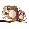 Owl Love