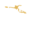 Ultimate Frisbee Silhouettes Distressed
