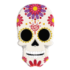Mexican skull Gift idea