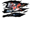 Koi carp