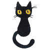 Black cat