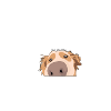 Dog Dog Funny