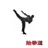 Taek Wondo