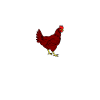 chicken