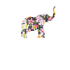 Éléphant motif animalier
