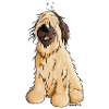 Briard - Sheepdog - Dog - Cartoon