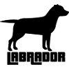 LABRADOR 1