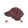 Dachshund Dachshund Viennese