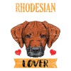 Rhodesian Ridgeback