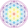 Flower of life rainbow
