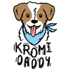 Kromi Daddy - Kromfohrländer