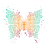 Schmetterling