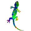 Gecko