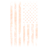 America flag