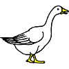 goose