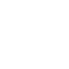 Indian Chief
