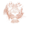 Löwe