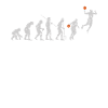Evolution basketball