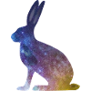 Bunny Starlight