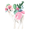 Hello Lama