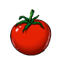 Tomate