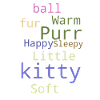 Soft Kitty