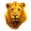 Lion lion head