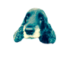 Cocker Spaniel