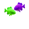 Fische