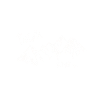 Teide