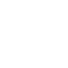 Ski
