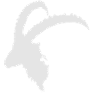 Steinbock weiß