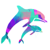 dolphin duo two hearts